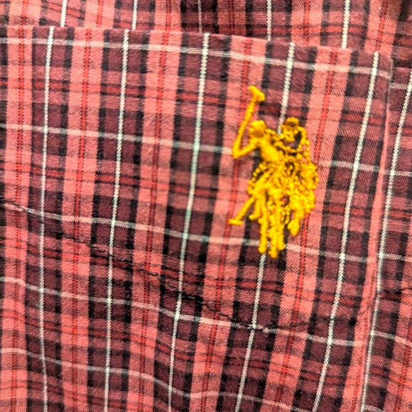 KMJ Southern Lover - Large - Picture 6 of 8